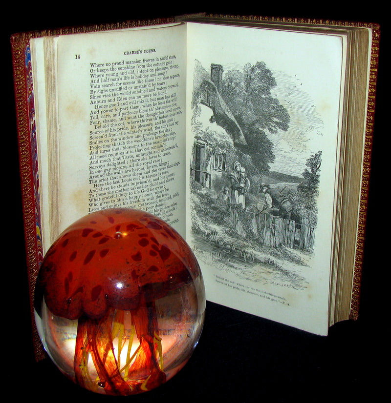 1863 Rare Book - The Poetical Works of George Crabbe.