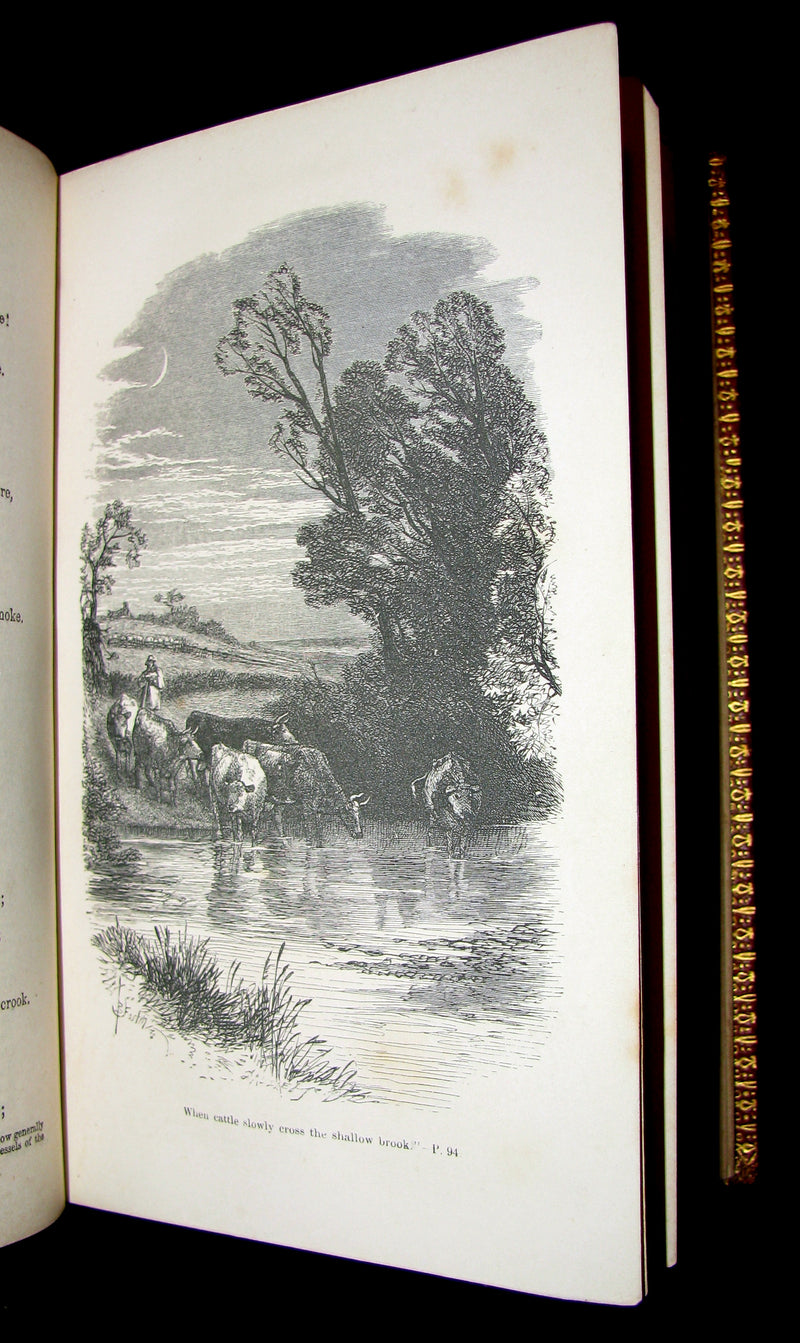 1863 Rare Book - The Poetical Works of George Crabbe.