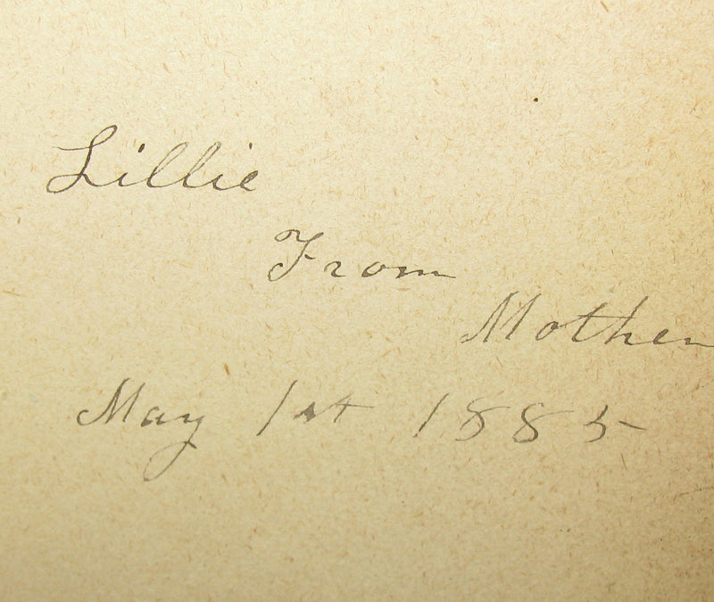1882 Rare Victorian Book - Poems of Edgar Allan POE (The Raven, Lenore, Ulalume, ...)