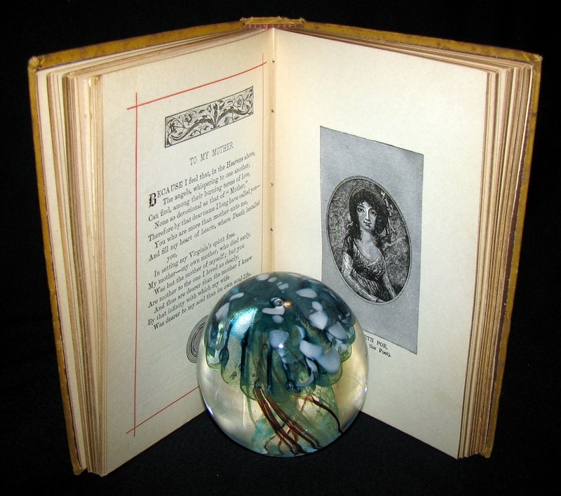 1882 Rare Victorian Book - Poems of Edgar Allan POE (The Raven, Lenore, Ulalume, ...)