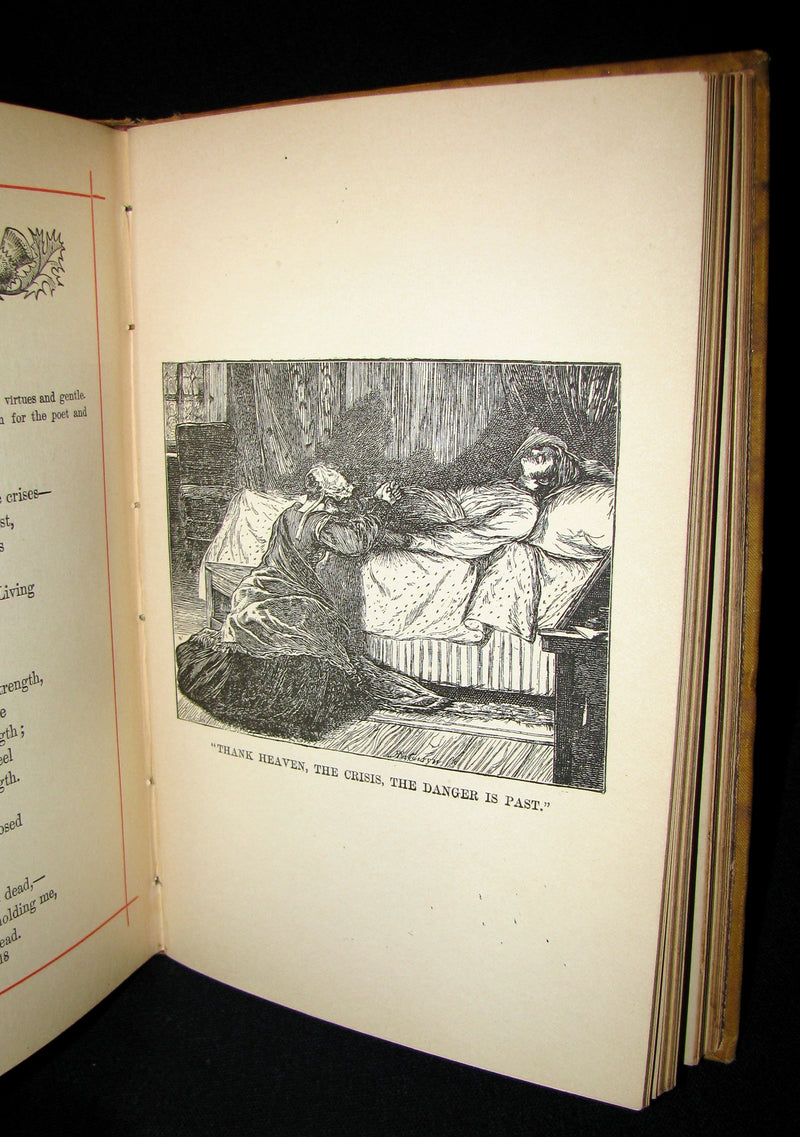 1882 Rare Victorian Book - Poems of Edgar Allan POE (The Raven, Lenore, Ulalume, ...)