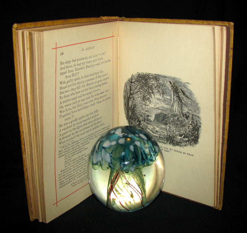 1882 Rare Victorian Book - Poems of Edgar Allan POE (The Raven, Lenore, Ulalume, ...)