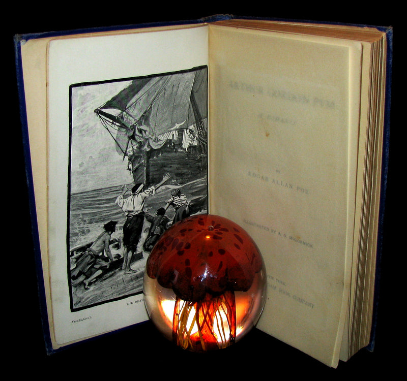 1889 Rare Victorian Book - Arthur Gordon Pym by Edgar Allan Poe : A Romance Illustrated