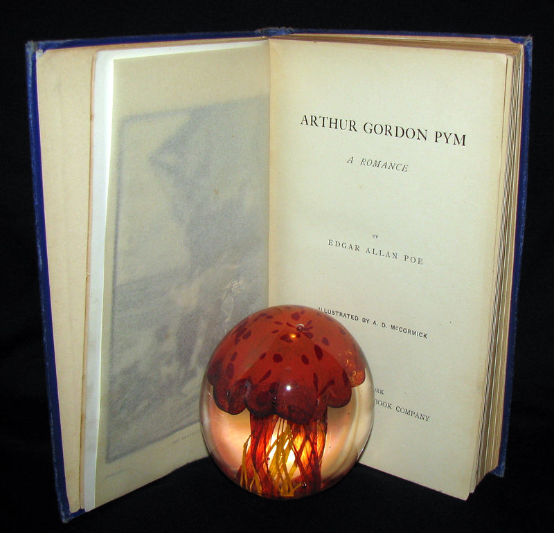 1889 Rare Victorian Book - Arthur Gordon Pym by Edgar Allan Poe : A Romance Illustrated