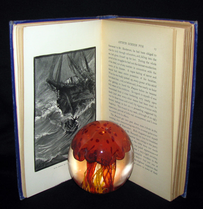 1889 Rare Victorian Book - Arthur Gordon Pym by Edgar Allan Poe : A Romance Illustrated