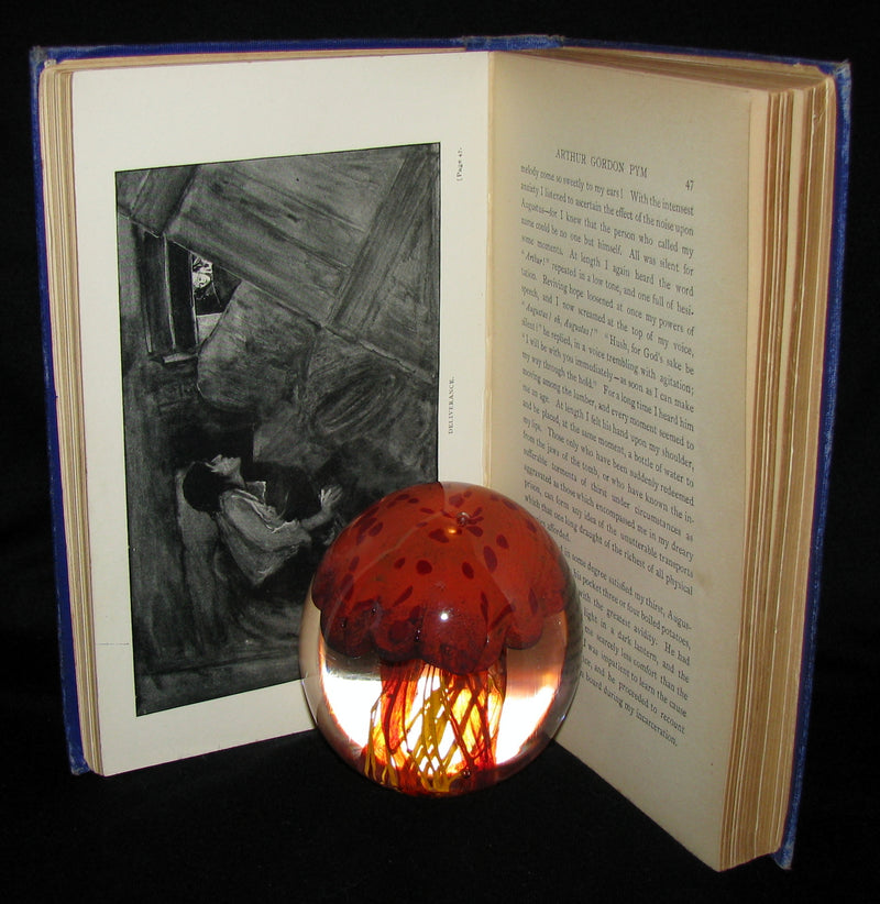 1889 Rare Victorian Book - Arthur Gordon Pym by Edgar Allan Poe : A Romance Illustrated