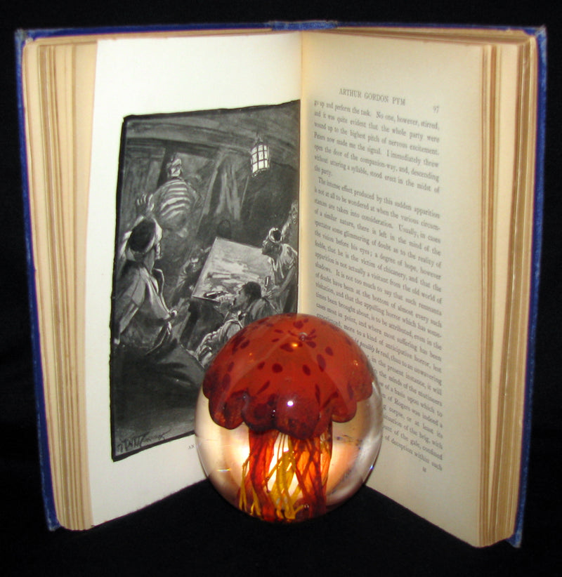 1889 Rare Victorian Book - Arthur Gordon Pym by Edgar Allan Poe : A Romance Illustrated