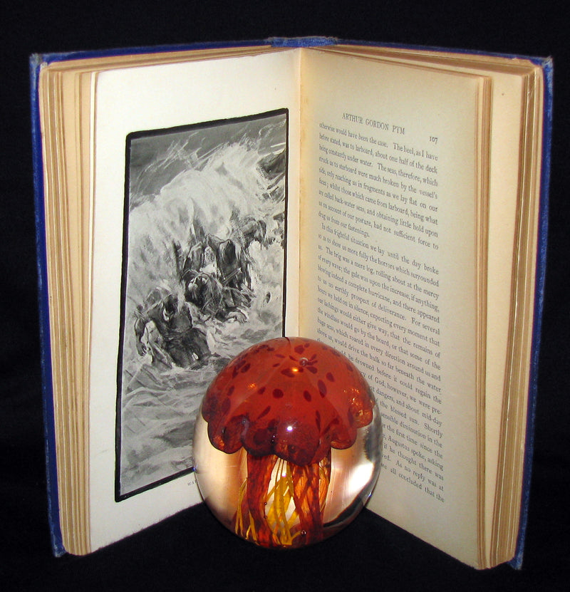 1889 Rare Victorian Book - Arthur Gordon Pym by Edgar Allan Poe : A Romance Illustrated