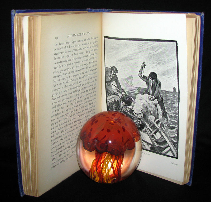 1889 Rare Victorian Book - Arthur Gordon Pym by Edgar Allan Poe : A Romance Illustrated