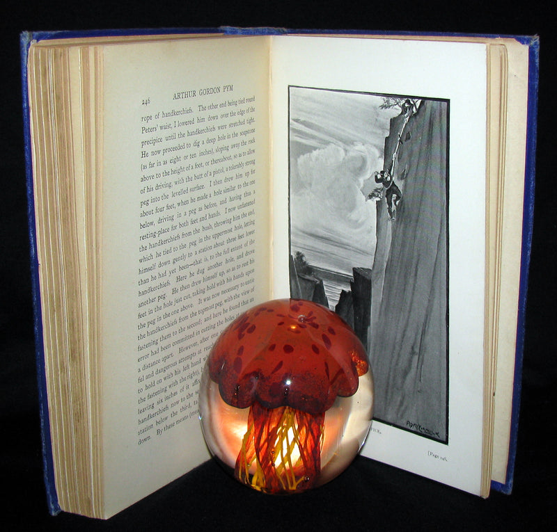 1889 Rare Victorian Book - Arthur Gordon Pym by Edgar Allan Poe : A Romance Illustrated