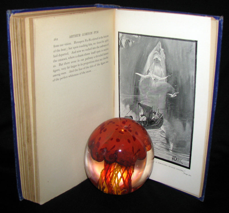 1889 Rare Victorian Book - Arthur Gordon Pym by Edgar Allan Poe : A Romance Illustrated