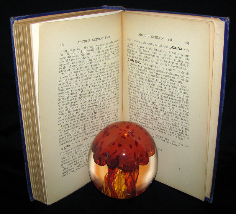 1889 Rare Victorian Book - Arthur Gordon Pym by Edgar Allan Poe : A Romance Illustrated