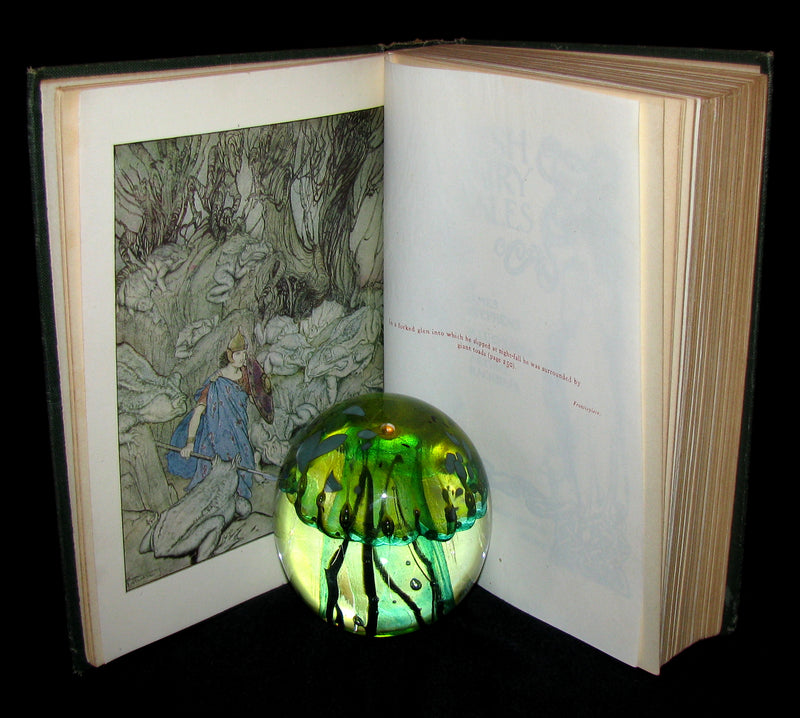 1920 First American Edition - Irish fairy Tales by James Stephens illustrated by Arthur Rackham