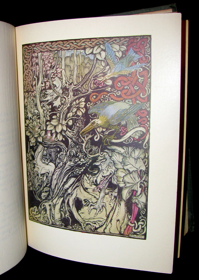 1920 First American Edition - Irish fairy Tales by James Stephens illustrated by Arthur Rackham