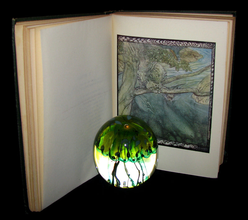 1920 First American Edition - Irish fairy Tales by James Stephens illustrated by Arthur Rackham