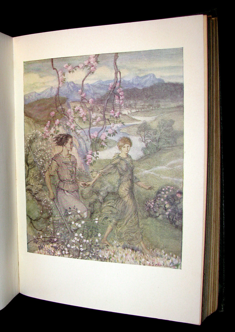 1920 First American Edition - Irish fairy Tales by James Stephens illustrated by Arthur Rackham