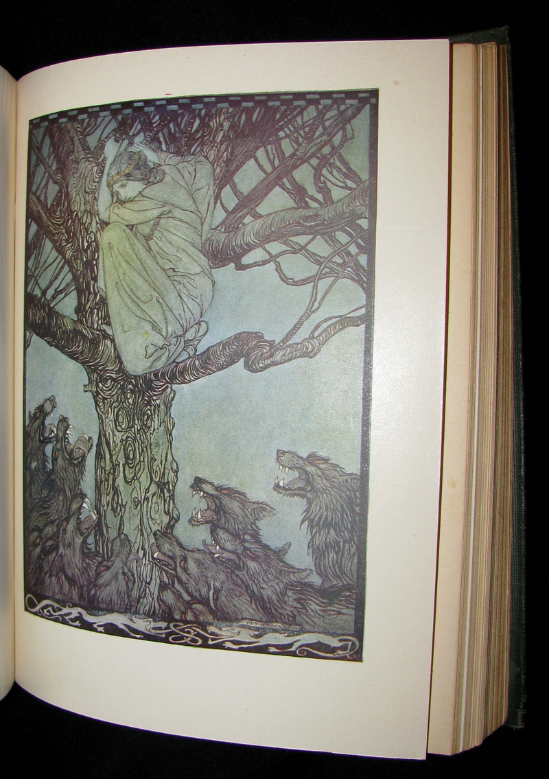 1920 First American Edition - Irish fairy Tales by James Stephens illustrated by Arthur Rackham