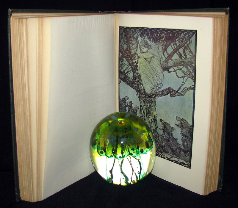 1920 First American Edition - Irish fairy Tales by James Stephens illustrated by Arthur Rackham