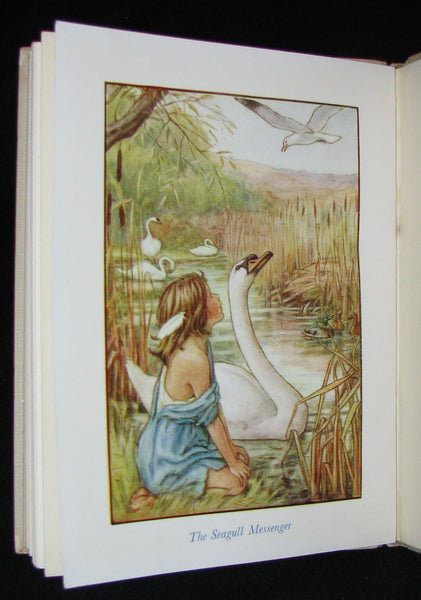 1940's Rare Book - Cicely Mary Barker - The Lord of the Rushie River. First Edition.