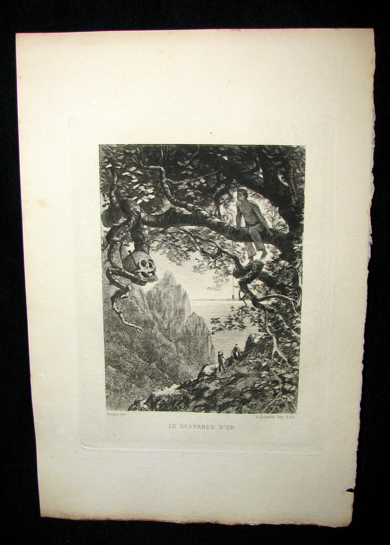 1884 Scarce 1st Edition Portfolio - 26 plates for Edgar Allan Poe 's Stories