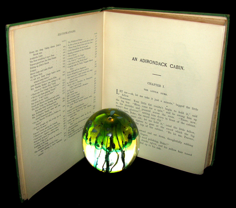 1890 Rare 1stED Book ~ An Adirondack Cabin: :A Family Story by Margaret Sidney