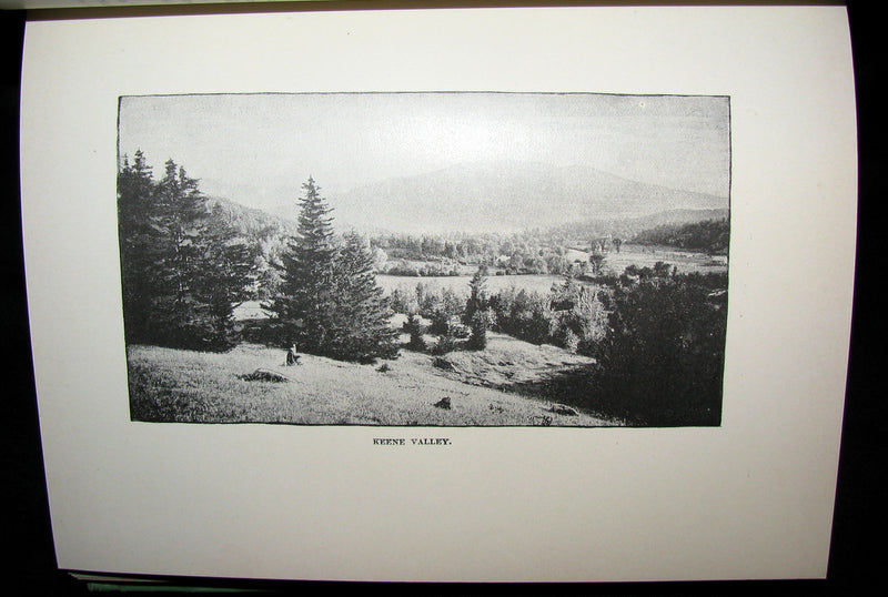 1890 Rare 1stED Book ~ An Adirondack Cabin: :A Family Story by Margaret Sidney
