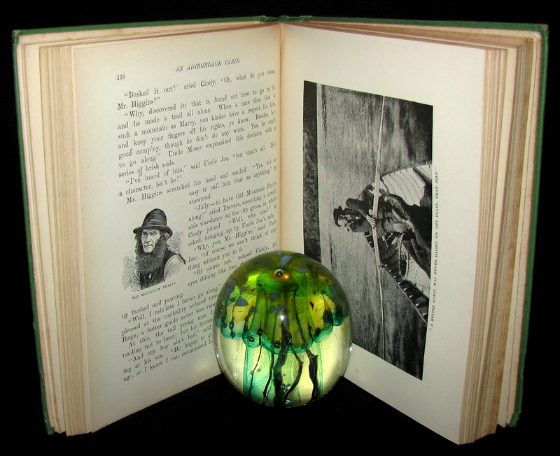 1890 Rare 1stED Book ~ An Adirondack Cabin: :A Family Story by Margaret Sidney