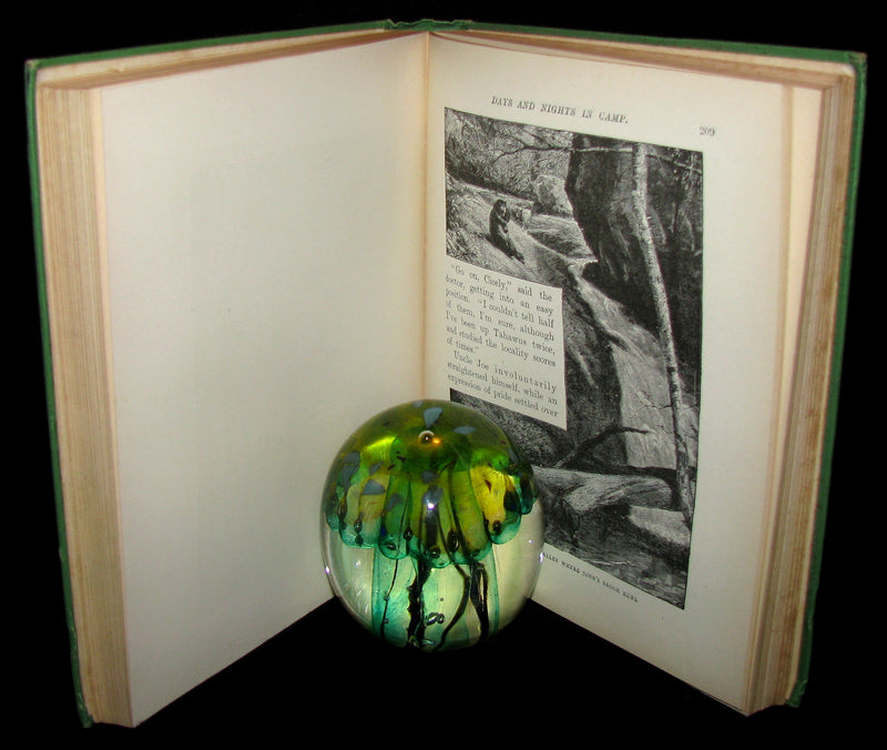 1890 Rare 1stED Book ~ An Adirondack Cabin: :A Family Story by Margaret Sidney