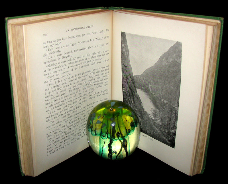 1890 Rare 1stED Book ~ An Adirondack Cabin: :A Family Story by Margaret Sidney