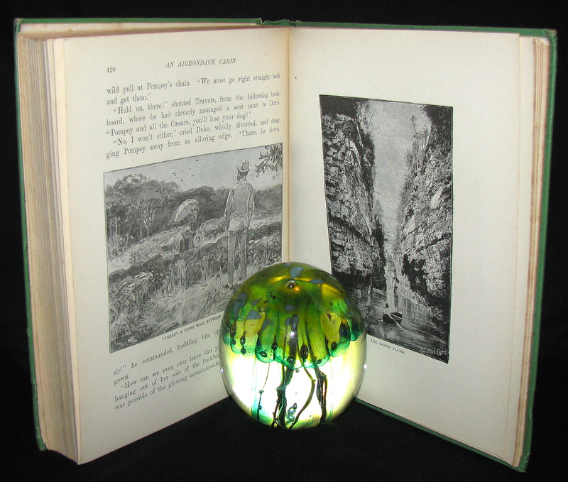 1890 Rare 1stED Book ~ An Adirondack Cabin: :A Family Story by Margaret Sidney