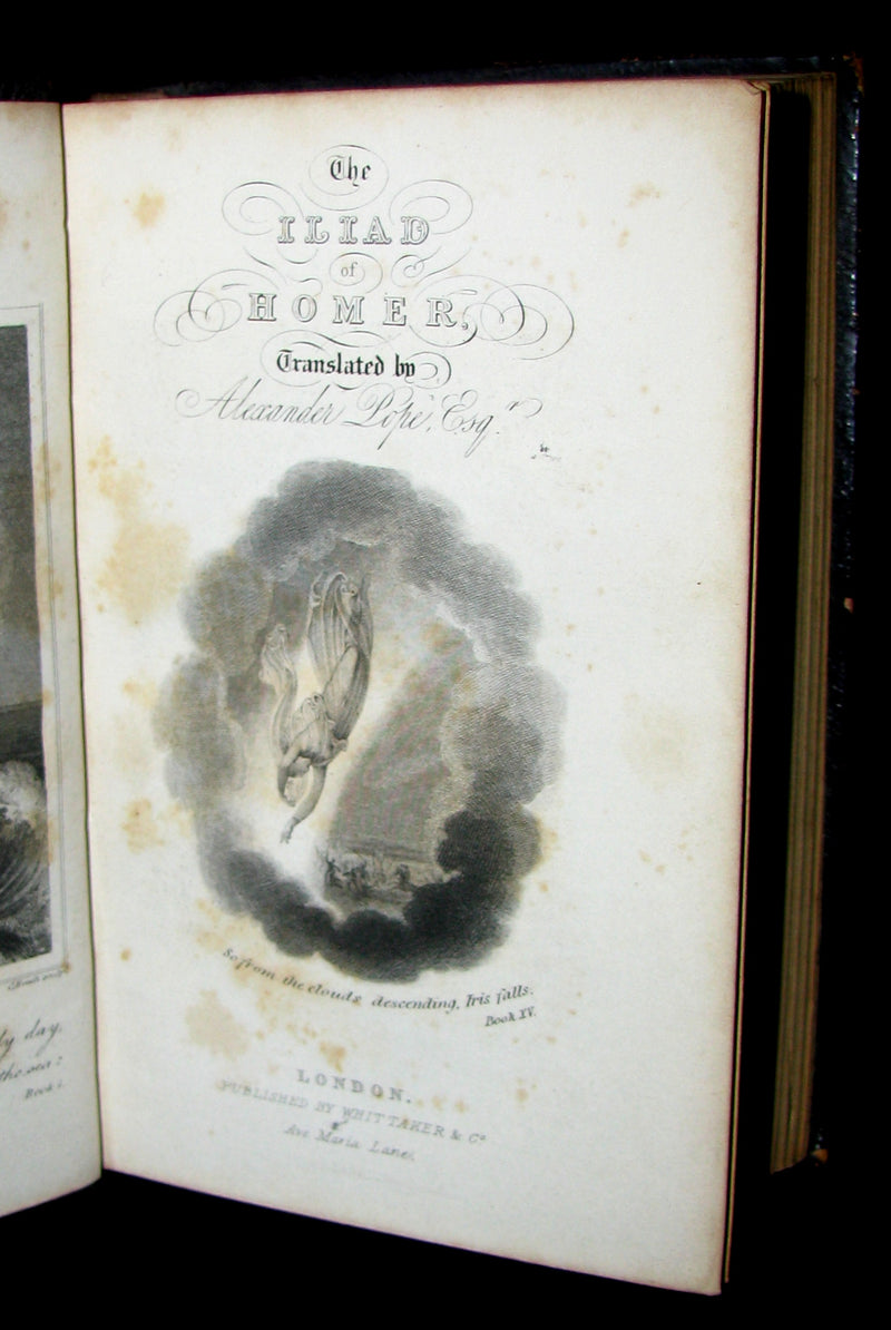 1845 Rare Book - The ILIAD of HOMER Translated by Alexander Pope, Esq.