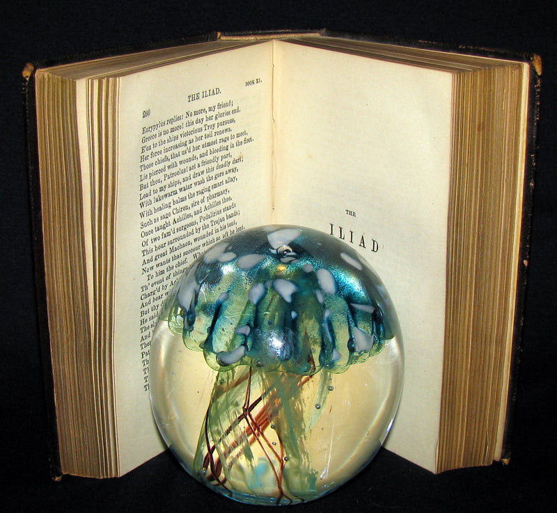 1845 Rare Book - The ILIAD of HOMER Translated by Alexander Pope, Esq.