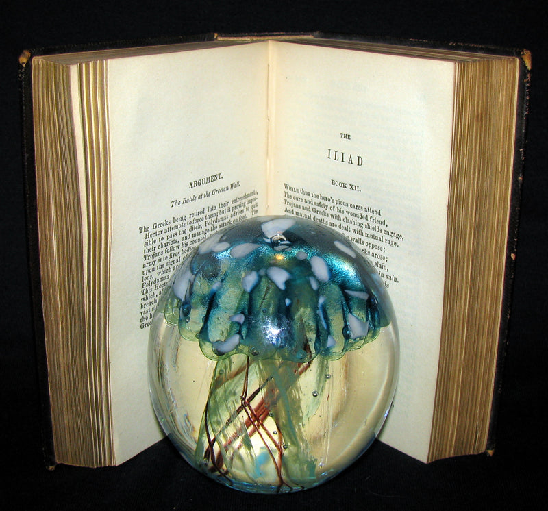 1845 Rare Book - The ILIAD of HOMER Translated by Alexander Pope, Esq.