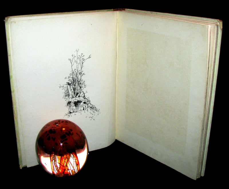 1870 Rare Victorian Book - Cinderella and other nursery tales published by Ernest Nister