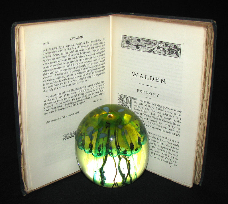 1886 Rare FIRST London Edition - WALDEN by Henry David Thoreau