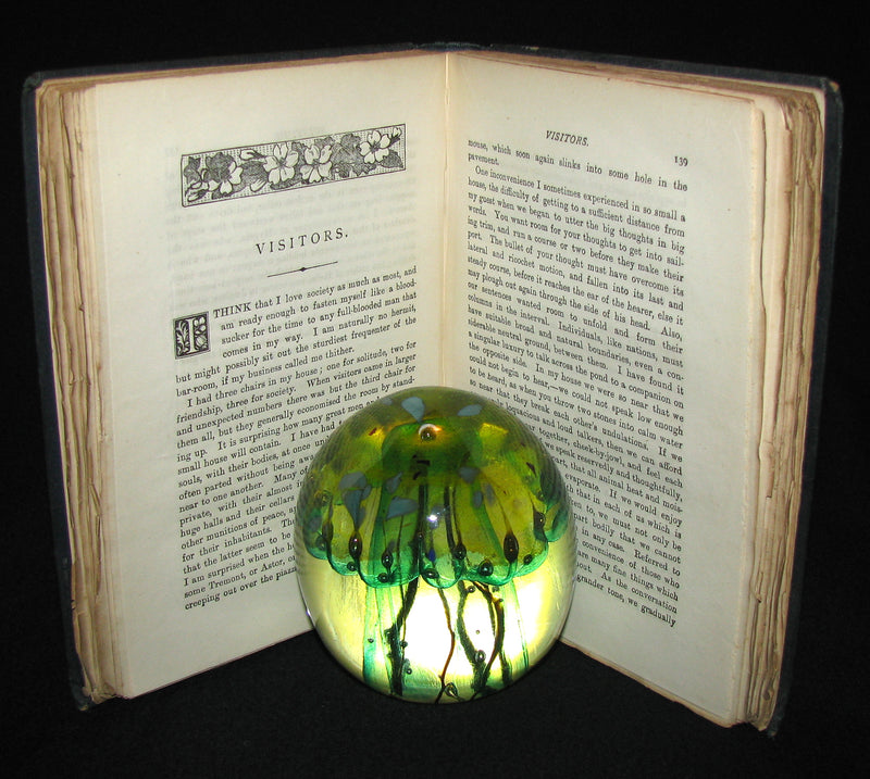 1886 Rare FIRST London Edition - WALDEN by Henry David Thoreau