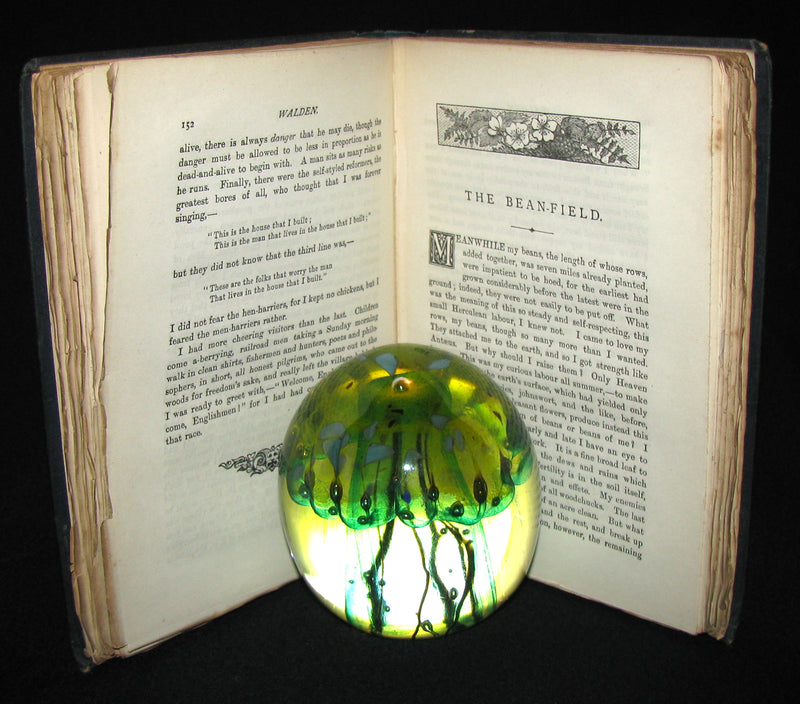 1886 Rare FIRST London Edition - WALDEN by Henry David Thoreau