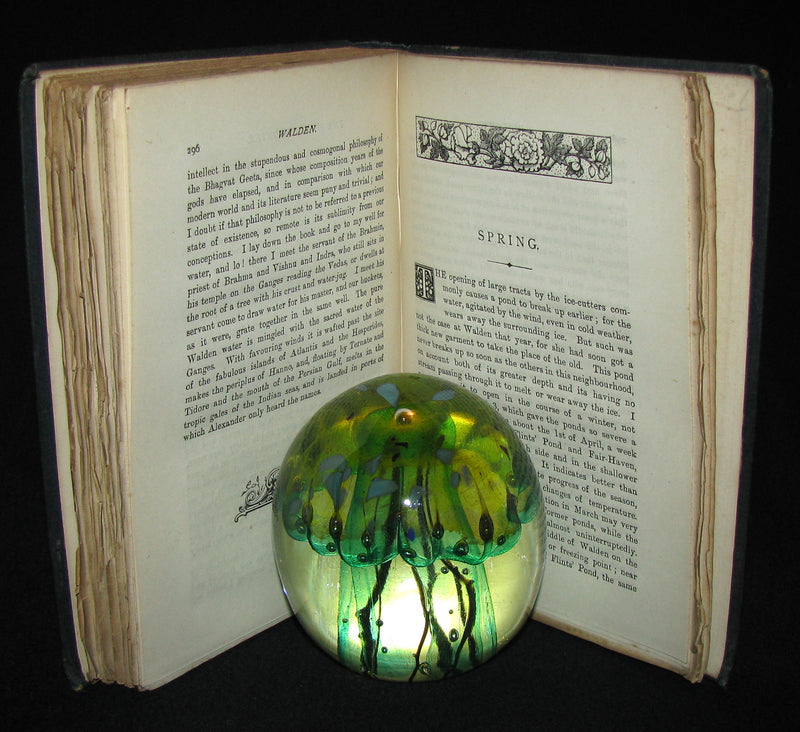 1886 Rare FIRST London Edition - WALDEN by Henry David Thoreau