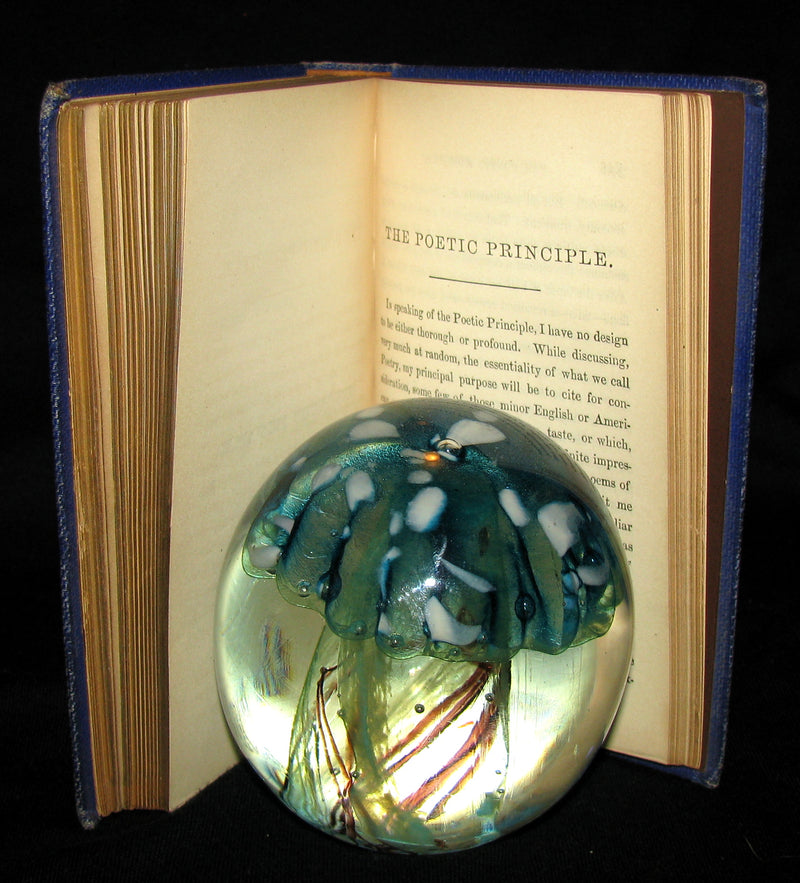 1872 Rare Victorian Book - Poems by Edgar Allan POE (The Raven, Lenore, Ulalume, ...)