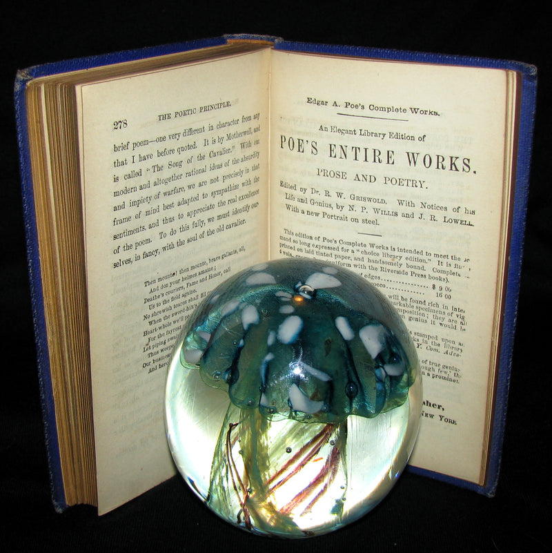 1872 Rare Victorian Book - Poems by Edgar Allan POE (The Raven, Lenore, Ulalume, ...)