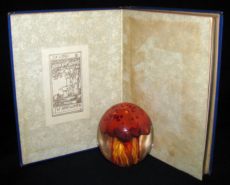 1894 Scarce Victorian Book -  Hans Christian Andersen's Snow Queen And Other Fairy Tales
