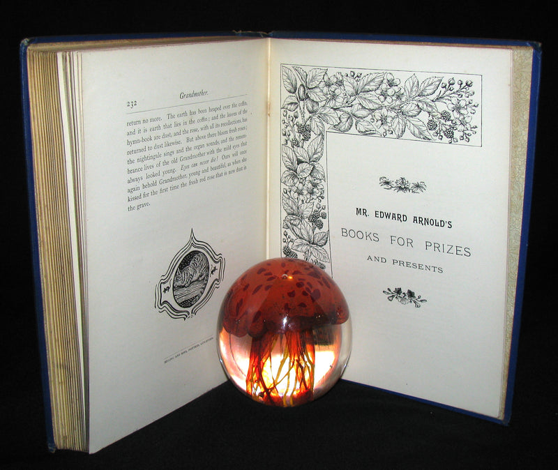 1894 Scarce Victorian Book -  Hans Christian Andersen's Snow Queen And Other Fairy Tales