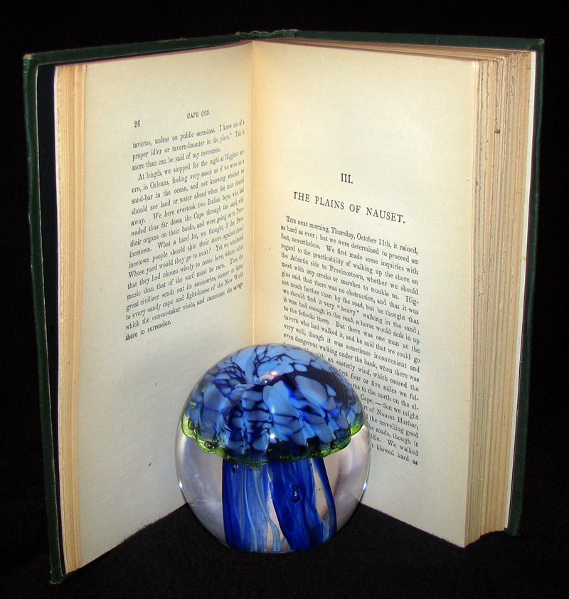 1881 Rare Book - CAPE COD by Henry David Thoreau. Association Copy of Maria Rebecca AUDUBON.