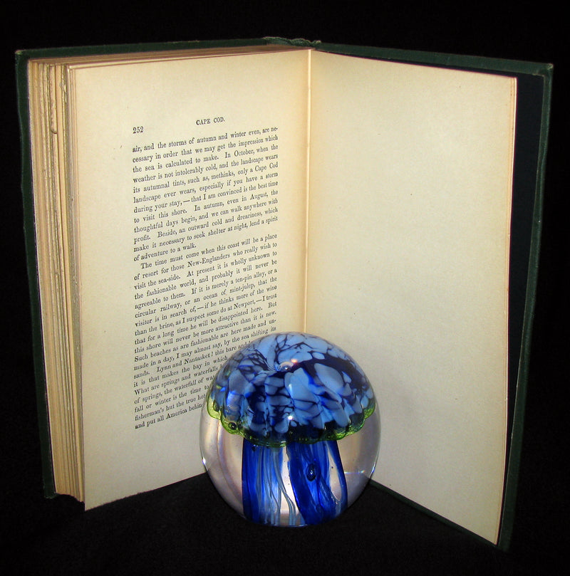 1881 Rare Book - CAPE COD by Henry David Thoreau. Association Copy of Maria Rebecca AUDUBON.