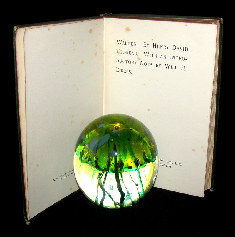 1886 Rare Victorian Book - WALDEN by Henry David Thoreau