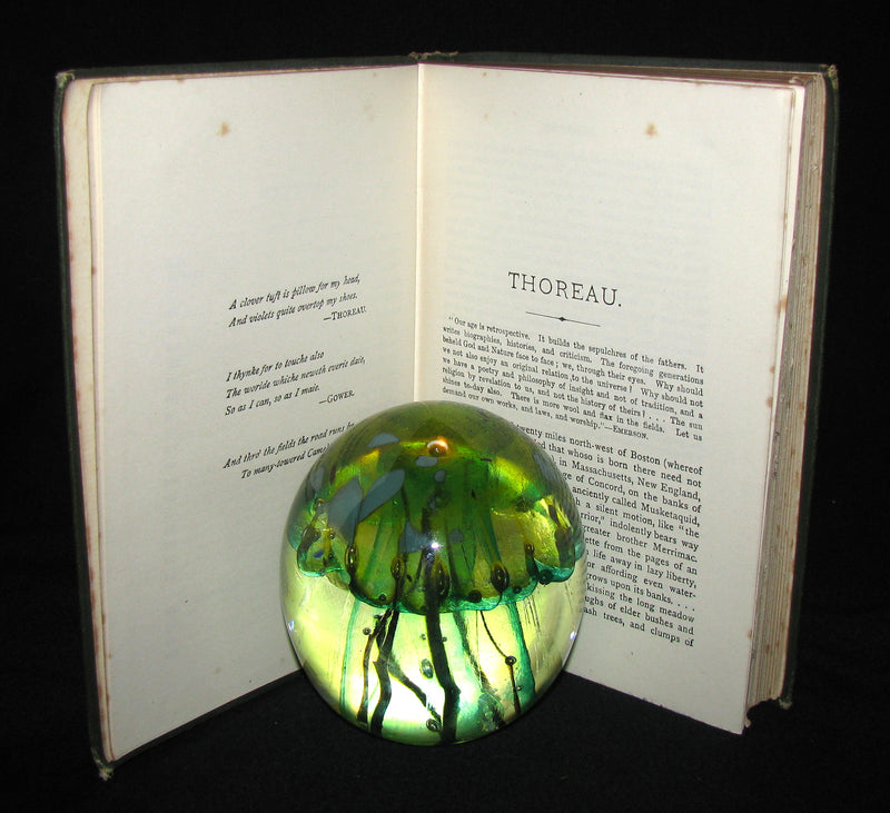 1886 Rare Victorian Book - WALDEN by Henry David Thoreau