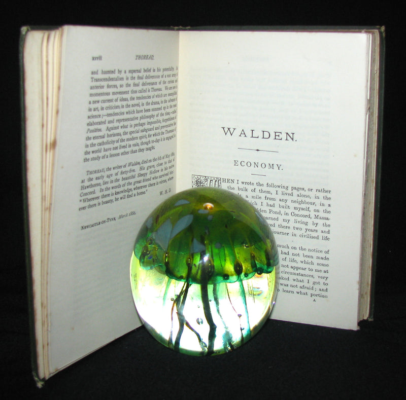 1886 Rare Victorian Book - WALDEN by Henry David Thoreau