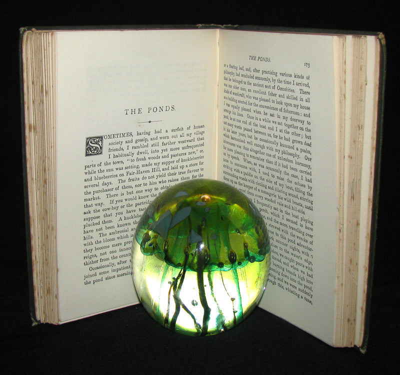 1886 Rare Victorian Book - WALDEN by Henry David Thoreau