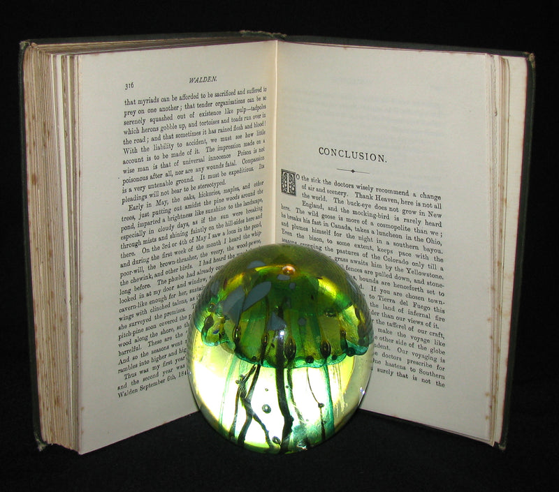 1886 Rare Victorian Book - WALDEN by Henry David Thoreau