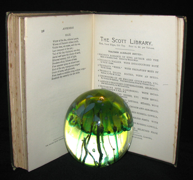 1886 Rare Victorian Book - WALDEN by Henry David Thoreau